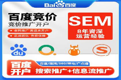 SEM专员案例：数据分析与优化